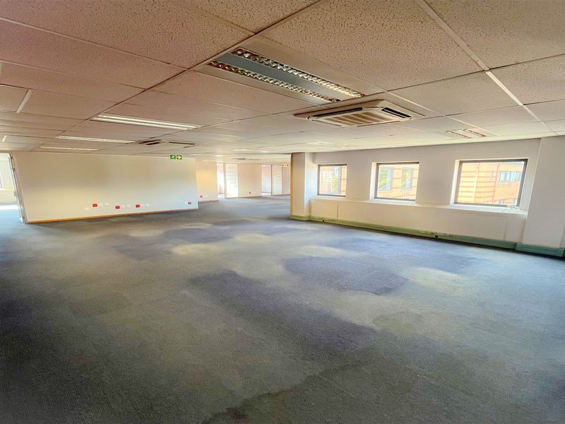 A large, vacant open-plan office space featuring a suspended ceiling, recessed lighting, integrated air conditioning, and worn carpeting throughout.
