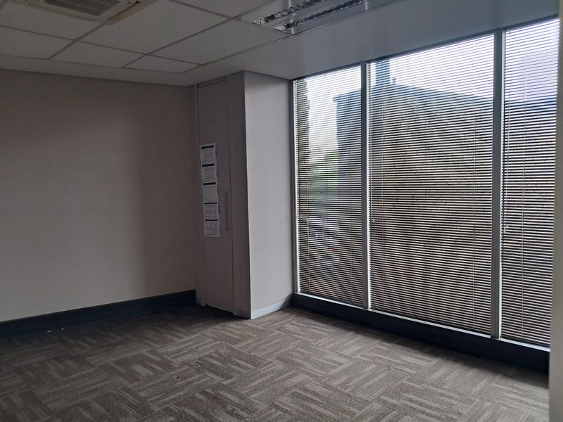 A vacant office space featuring carpet tiles, a suspended ceiling with recessed lighting, and large windows with fitted venetian blinds.