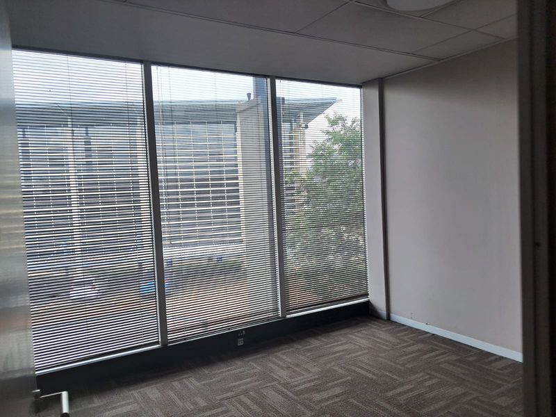 A vacant office space featuring large floor-to-ceiling windows with venetian blinds, carpeted flooring, and a suspended ceiling.