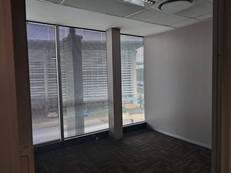 A vacant office space featuring large windows with venetian blinds, suspended ceiling with recessed lighting, and carpeted flooring.