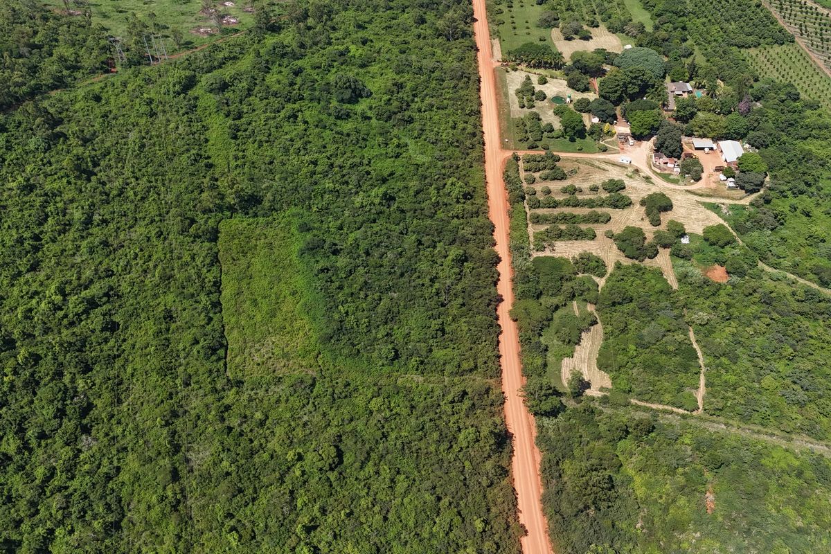 Prime Investment Opportunity, in Louis Trichardt – Brand New Development! - Photo 3