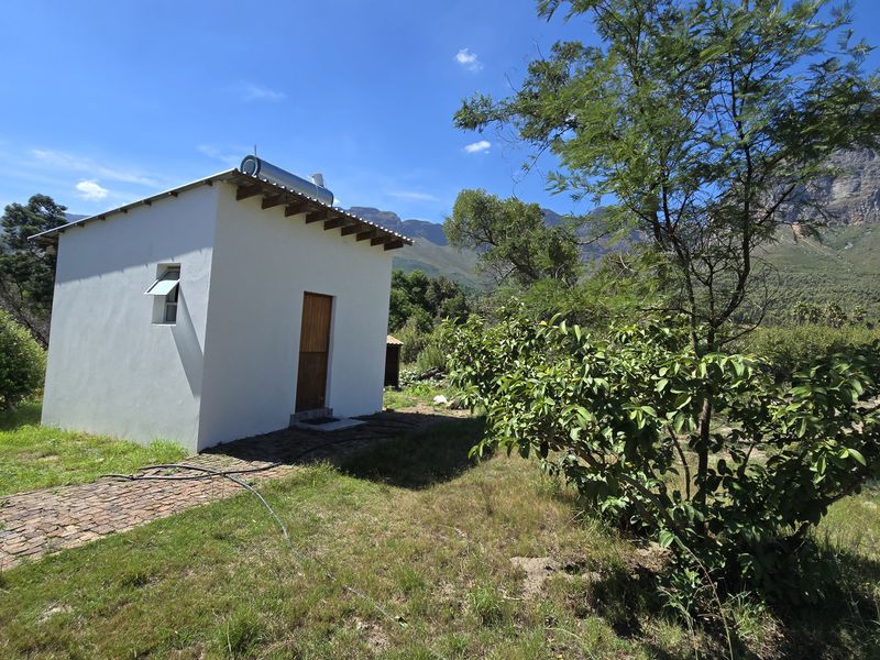 Paarl farm for sale. - Photo 8