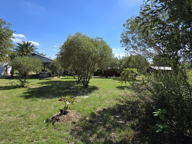 Paarl farm for sale. - Photo 4
