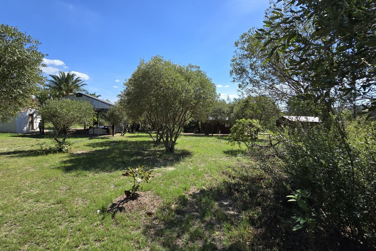 Paarl farm for sale. - Photo 4
