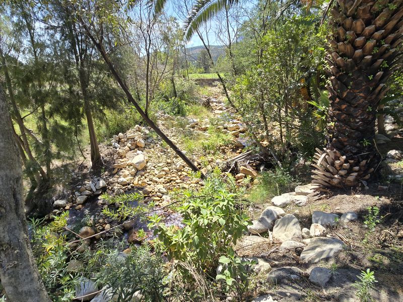 Paarl farm for sale. - Photo 10