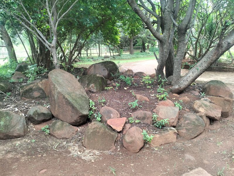A natural garden area featuring mature trees and a landscaped rockery arrangement within a rural farm setting.
