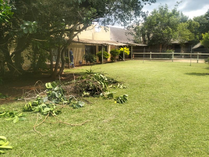 A spacious rear garden area featuring a lawn, mature trees, a covered patio, and secure perimeter fencing on a farm property.