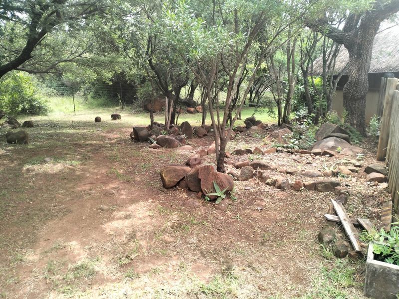 A natural, wooded garden area featuring mature trees, rock landscaping, and a glimpse of a thatched roof structure on the property.