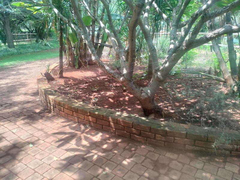 A landscaped garden area featuring a curved brick retaining wall and brick paved pathways surrounded by mature trees and greenery.