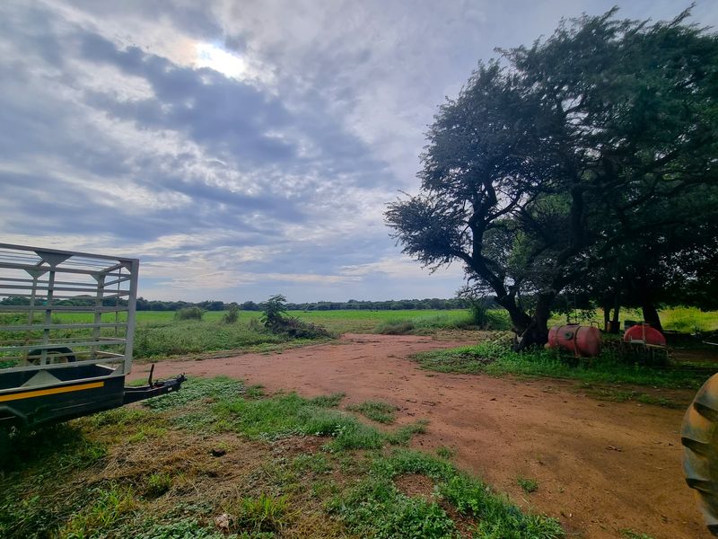 Groot Marico! Excellent 28 ha Crop & Cattle Farm for Sale – A True Bushveld Gem! - Photo 9