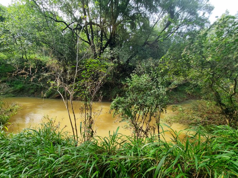 Groot Marico! Excellent 28 ha Crop & Cattle Farm for Sale – A True Bushveld Gem! - Photo 10