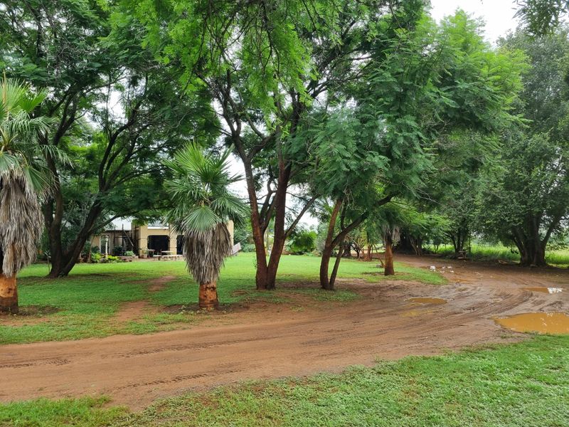 Excellent 28 ha Crop & Cattle Farm for Sale – Groot MArico - A True Bushveld Gem! - Photo 10