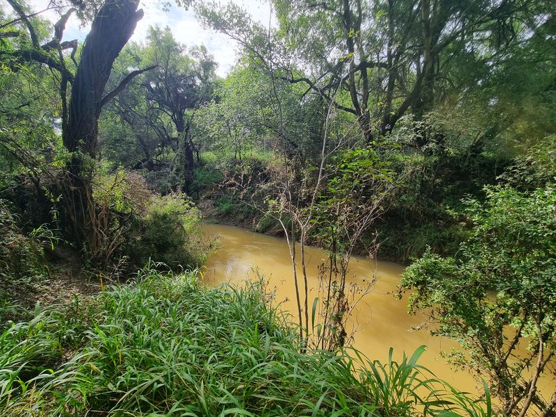 A scenic view of a natural river flowing through a lush, wooded area on the farm property.