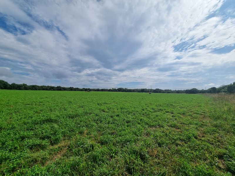 Expansive green agricultural field on a farm property, featuring an integrated irrigation system under a cloudy sky.