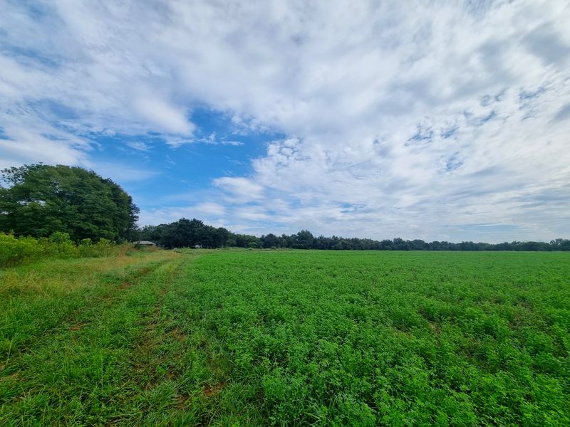 Expansive green pasture land on a farm property, featuring lush vegetation and mature trees under a bright, cloudy sky.