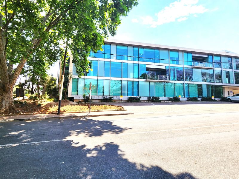 Offices to let in Illovo - Photo 2