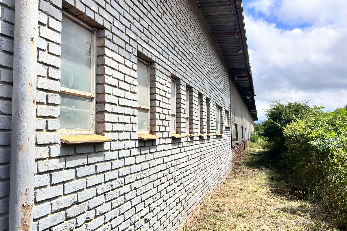 Side elevation of a commercial building featuring painted brick walls, steel-framed windows, and a metal roof, with adjacent overgrown vegetation.