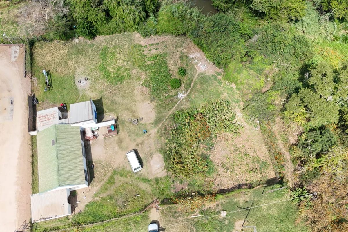 Peaceful retreat meets commercial possibility! - Photo 4