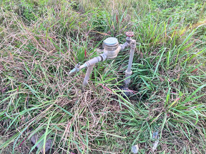 Peaceful retreat meets commercial possibility! - Photo 2