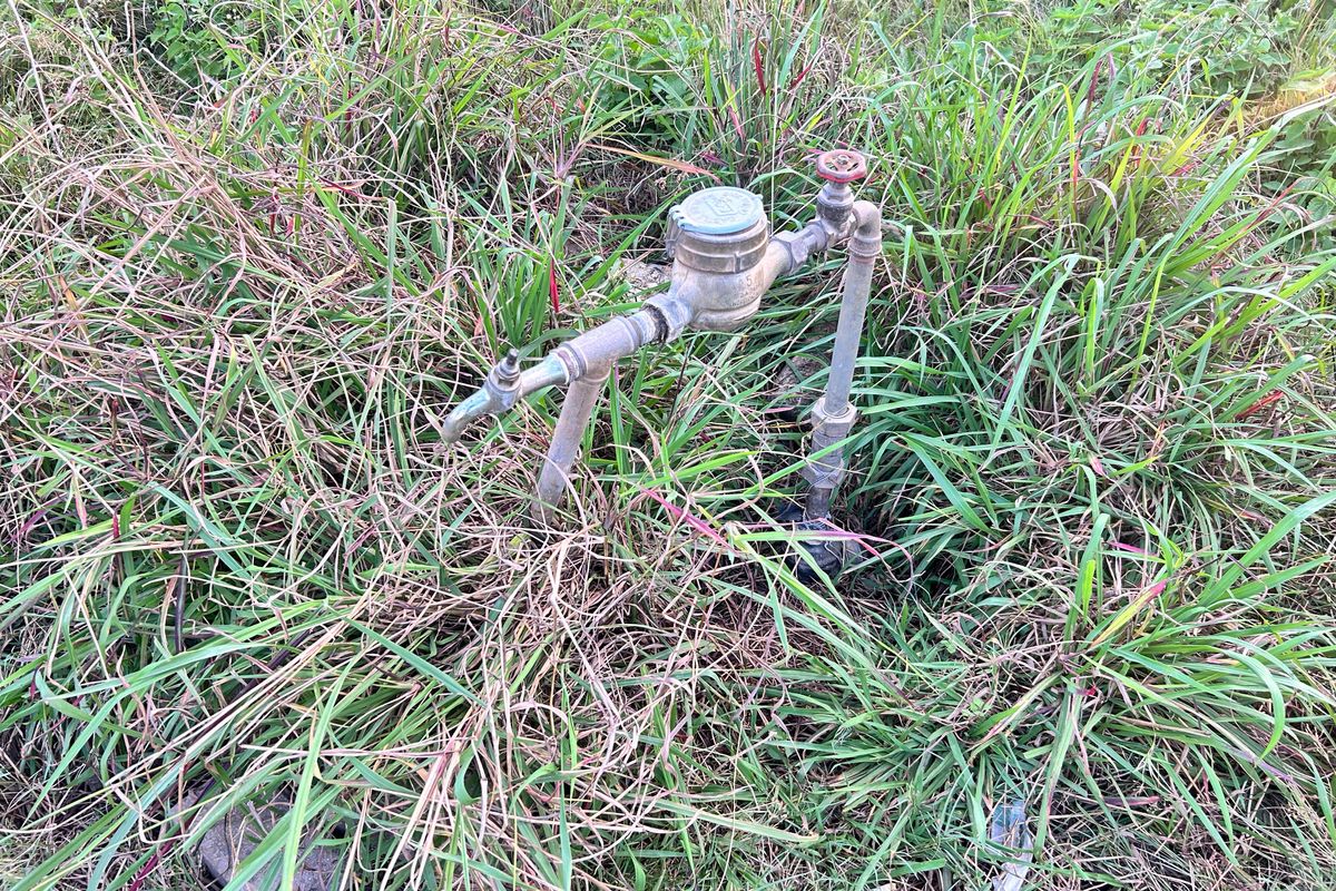 Peaceful retreat meets commercial possibility! - Photo 2