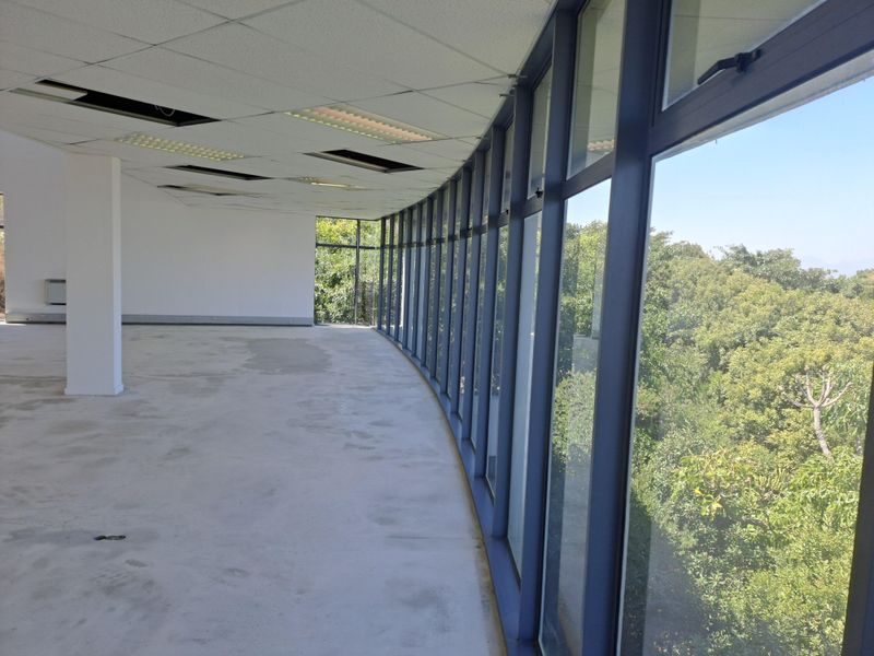 A Grade Office Space to Let at Tygerberg Office Park - Photo 10