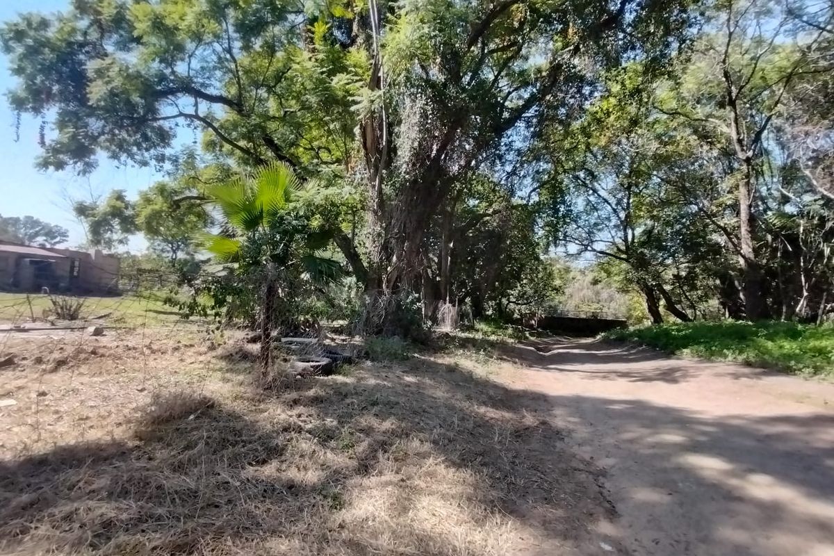 Entrepreneur’s Opportunity – Versatile Farm with Endless Potential - Mooinooi - Photo 3