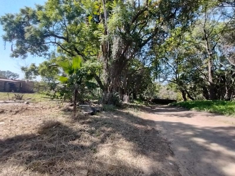 A view of the farm grounds featuring mature trees, a dirt access path, and perimeter wire fencing.