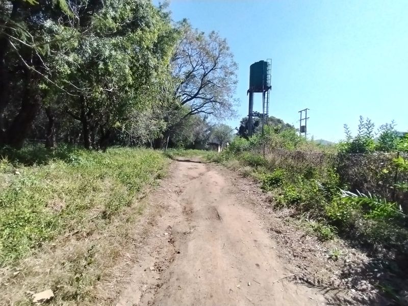A dirt access road on the farm property featuring a raised water storage tank and surrounding natural vegetation.
