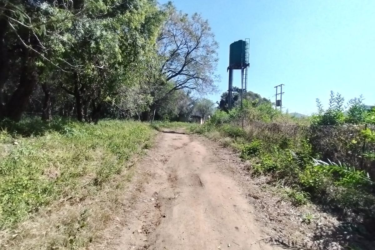 A dirt access road on the farm property featuring a raised water storage tank and surrounding natural vegetation.