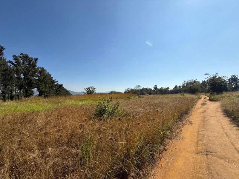 Prime Investment Land in Boschfontein right next to Main Road - Photo 6