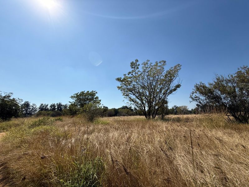 Prime Investment Land in Boschfontein right next to Main Road - Photo 9