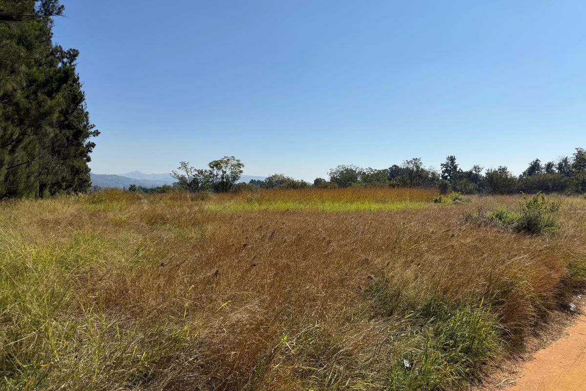 Prime Investment Land in Boschfontein right next to Main Road - Photo 3