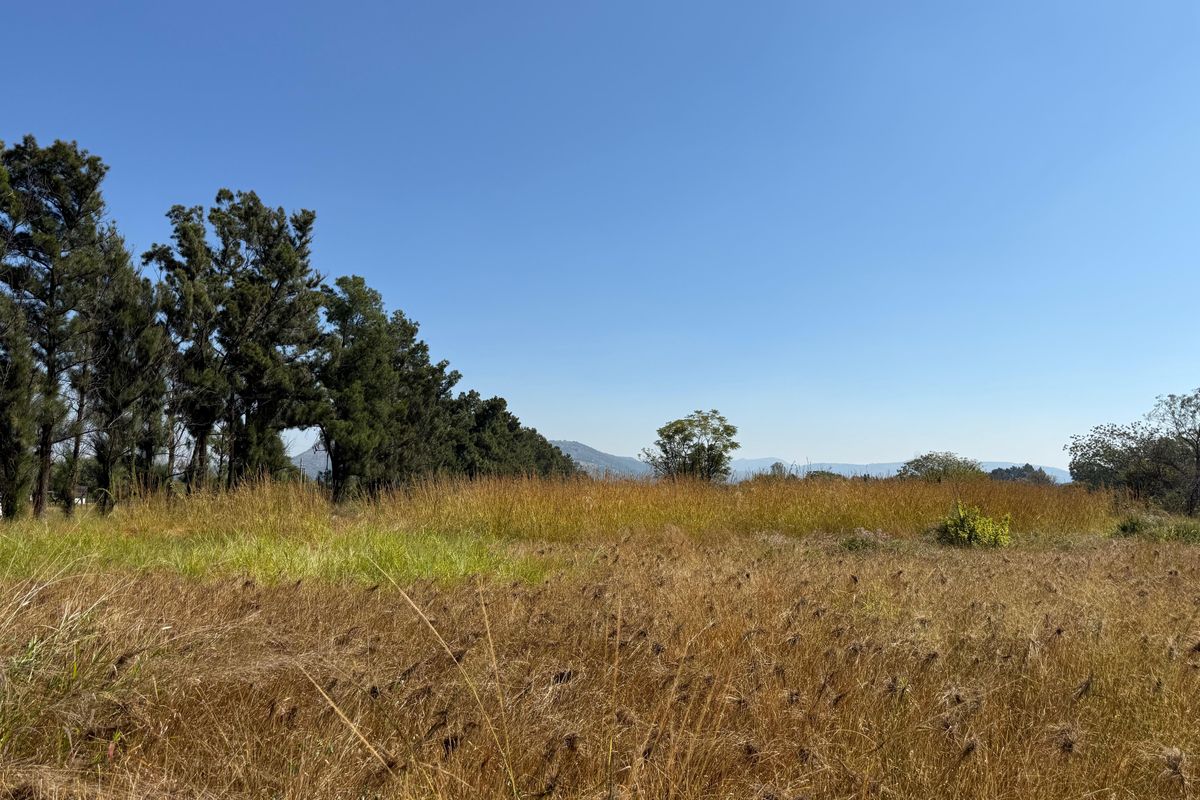 Prime Investment Land in Boschfontein right next to Main Road - Photo 2