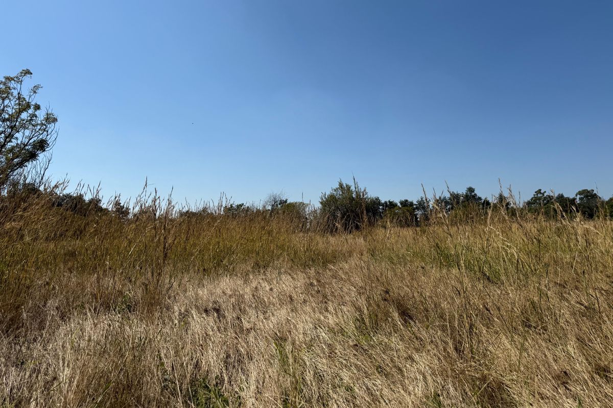 Prime Investment Land in Boschfontein right next to Main Road - Photo 4
