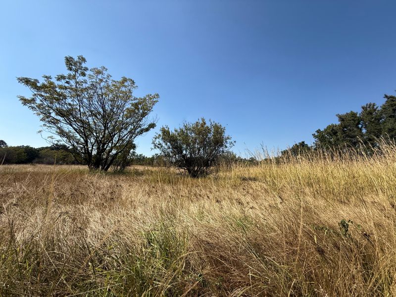 Prime Investment Land in Boschfontein right next to Main Road - Photo 7