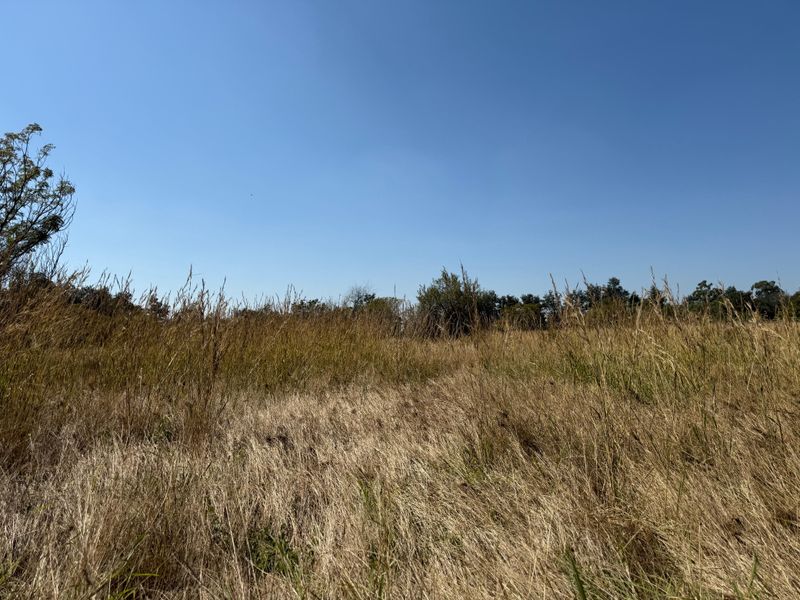 Prime Investment Land in Boschfontein right next to Main Road - Photo 4