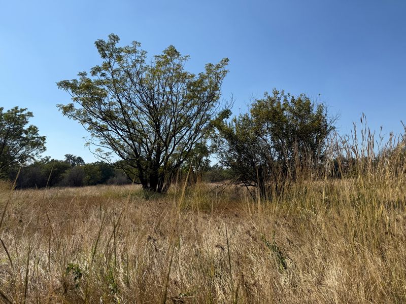 Prime Investment Land in Boschfontein right next to Main Road - Photo 5