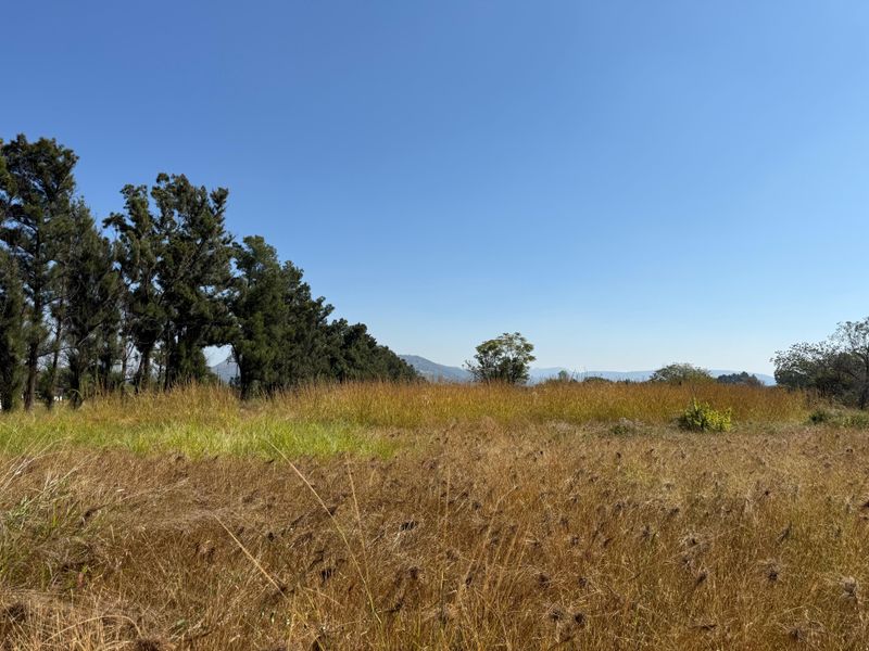 Prime Investment Land in Boschfontein right next to Main Road - Photo 2
