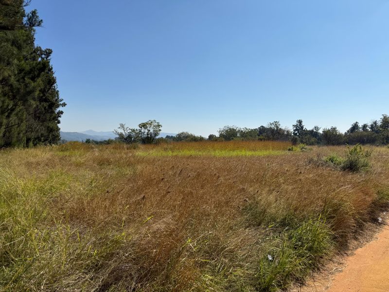 Prime Investment Land in Boschfontein right next to Main Road - Photo 3