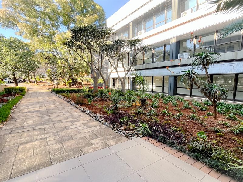 226m2 office space to let in Bedfordview - Photo 10