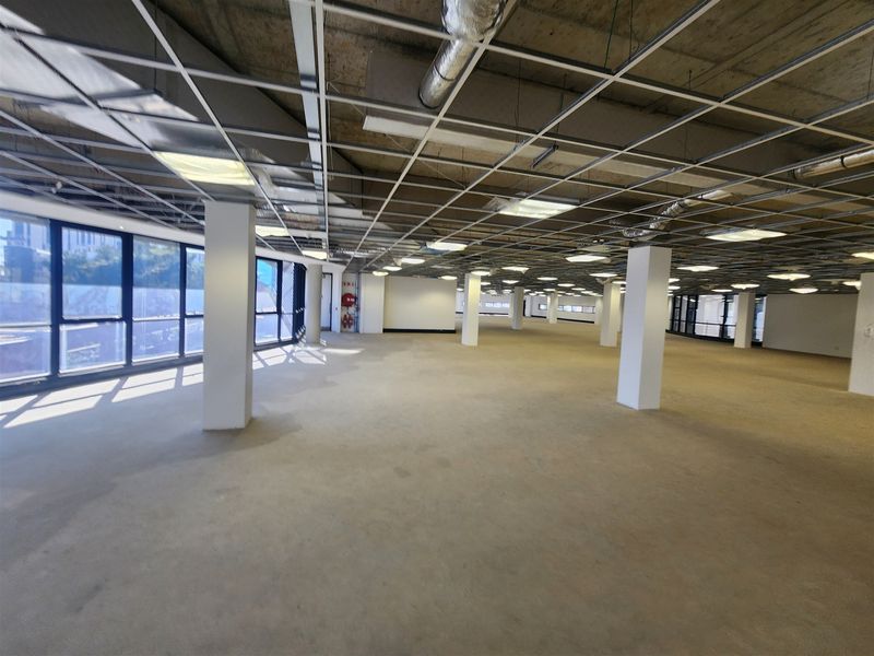 Offices to let in Morningside, Sandton - Photo 6
