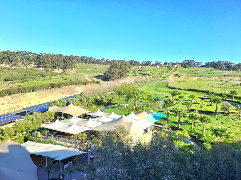 4th Floor Prime Office Space to Let In Tygervalley - Photo 2