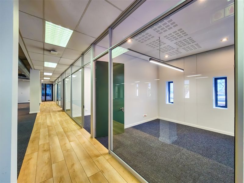 Modern office space featuring glass partition walls, suspended ceilings with integrated lighting, and a combination of carpet and wood-look flooring.