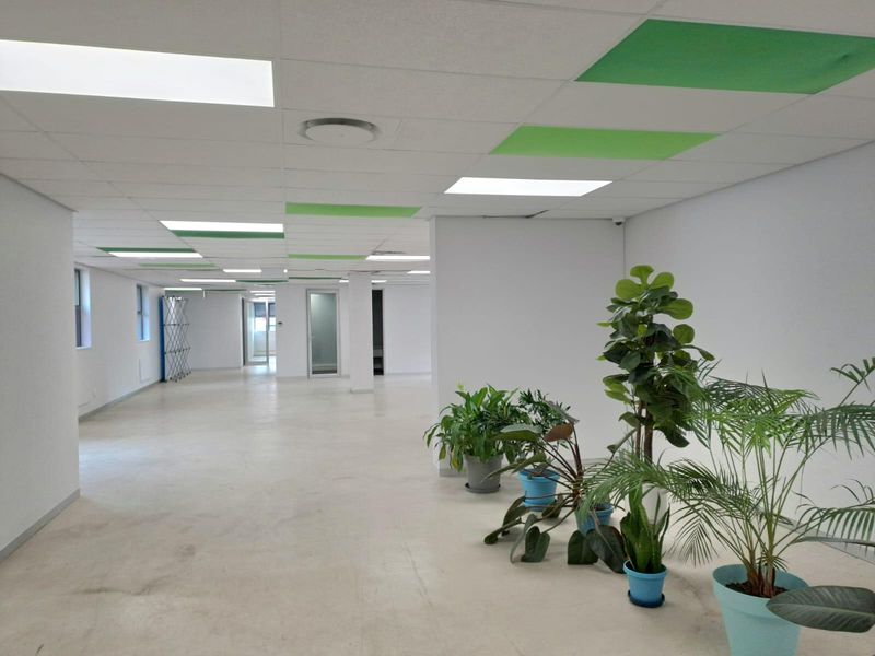 357m2 1st Floor Office Space at Centennial Place - Photo 3