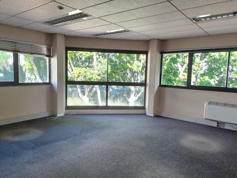 Spacious Ground Floor Office Space To Let In Golf Park 3 Pinelands - Photo 4