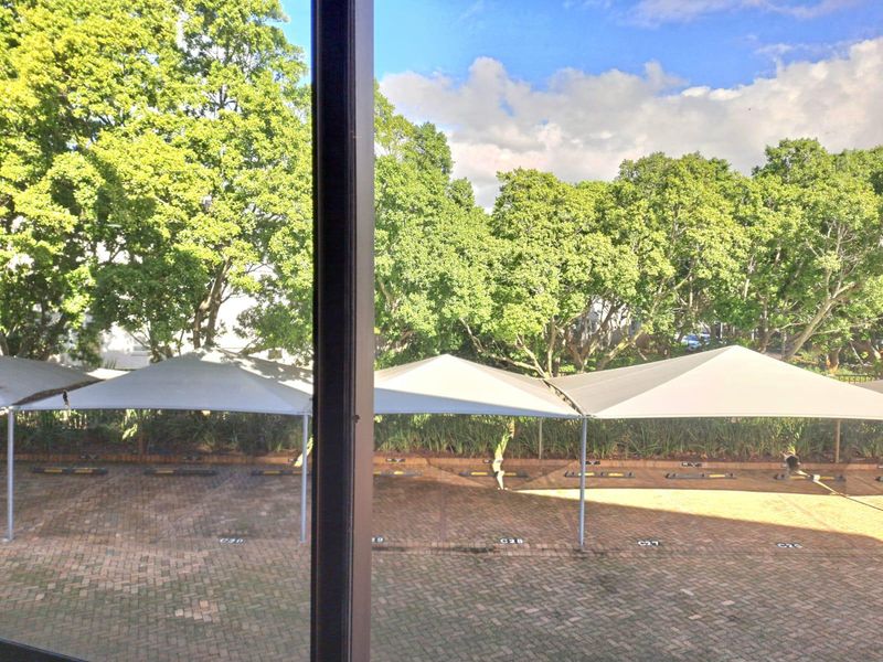 Spacious Ground Floor Office Space To Let In Golf Park 3 Pinelands - Photo 9