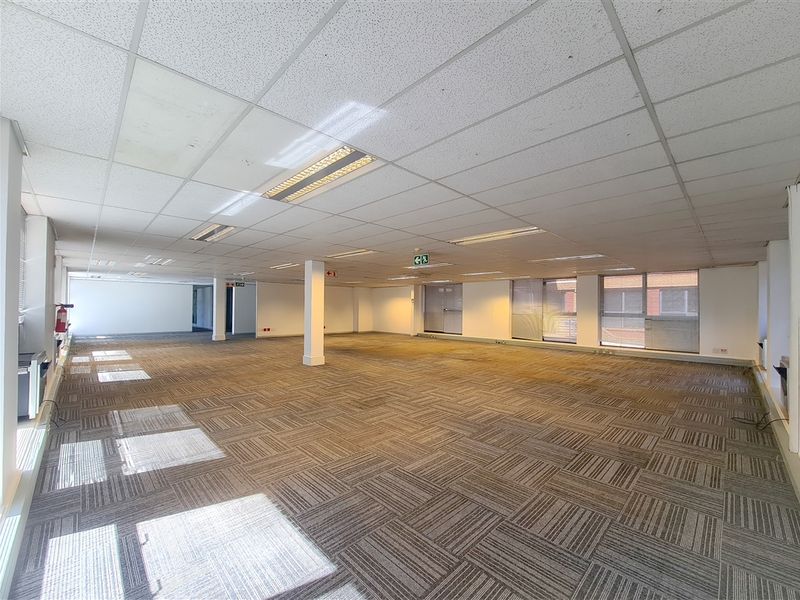 A spacious, open-plan office area featuring a suspended ceiling with recessed lighting, carpet tile flooring, and large windows providing natural light.