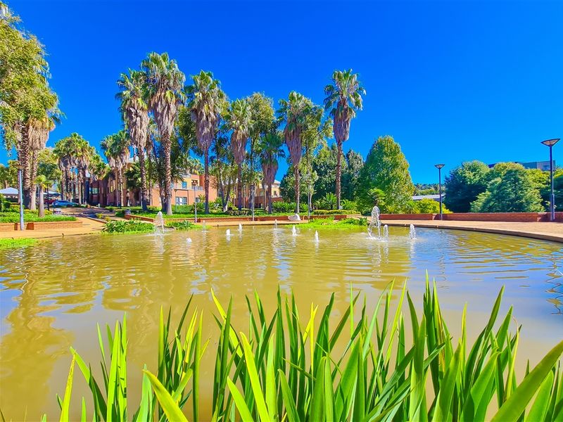 A well-maintained landscaped garden area featuring a central water fountain, mature palm trees, and paved walkways within the office property grounds.