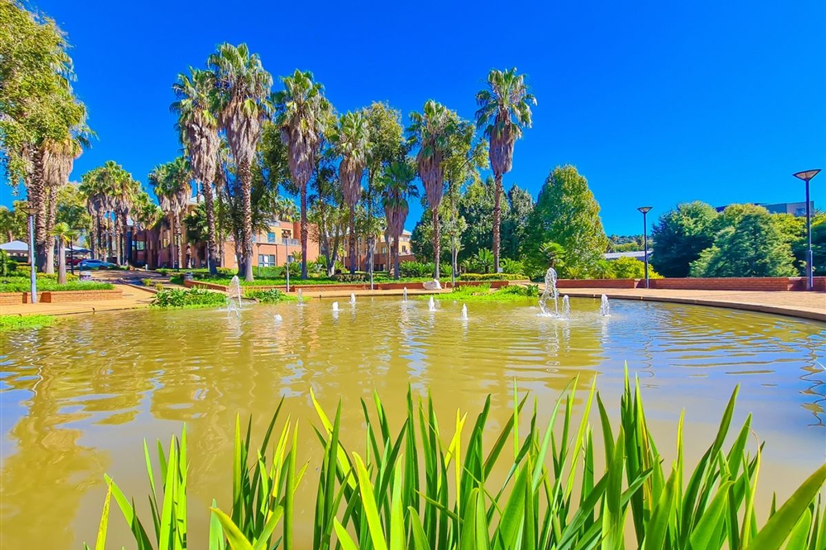 A well-maintained landscaped garden area featuring a central water fountain, mature palm trees, and paved walkways within the office property grounds.