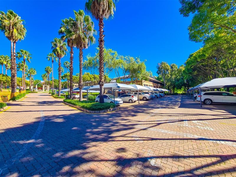 A well-maintained office parking area featuring paved surfaces, shade cloth carports, and mature landscaping with palm trees.